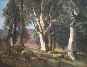 The Sycamores